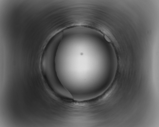 X0000089430842200706151307