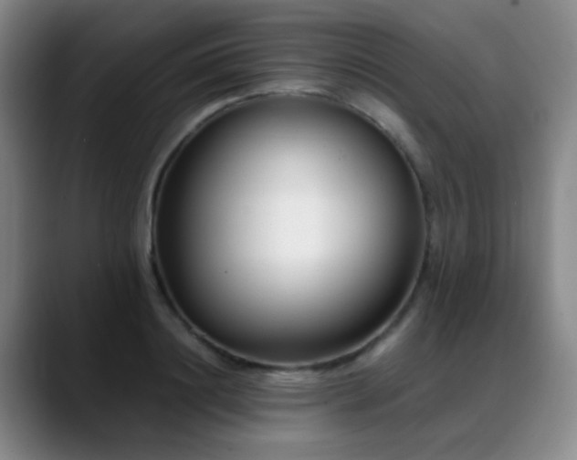 X0000089430844200706151307