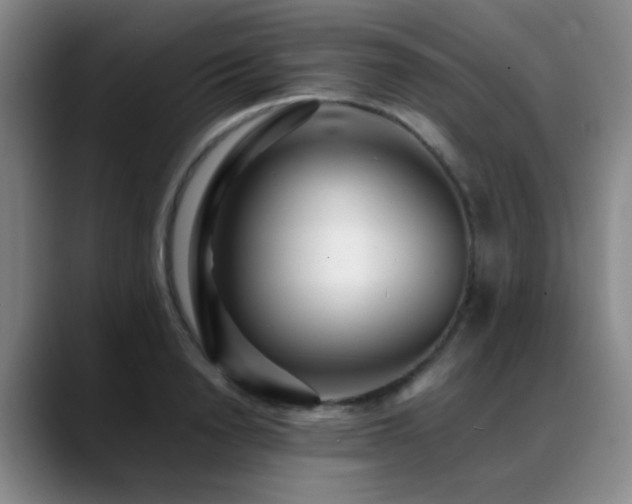 X0000089430846200706151307