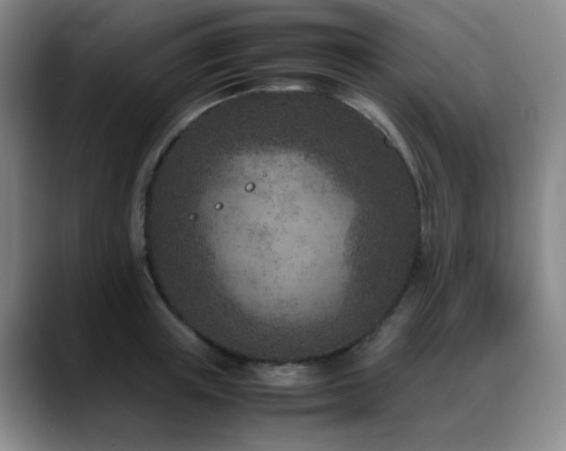 X0000089430851200706151307