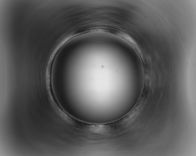 X0000089430859200706151307
