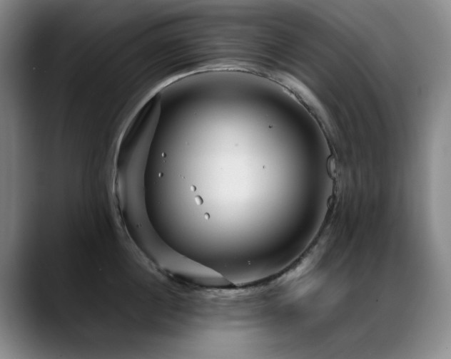 X0000089430860200706151307