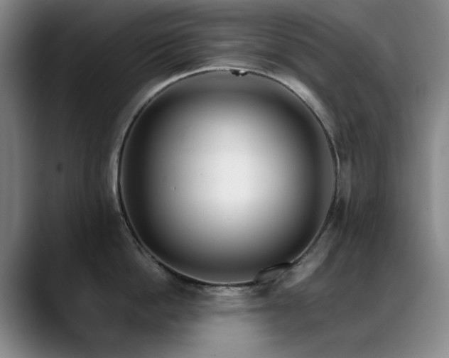 X0000089430862200706151307