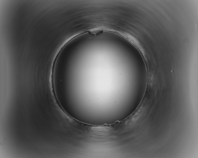 X0000089430863200706151307