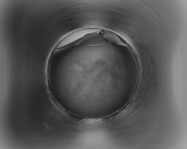 X0000089430864200706151308