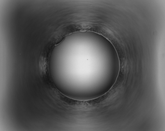 X0000089430866200706151307