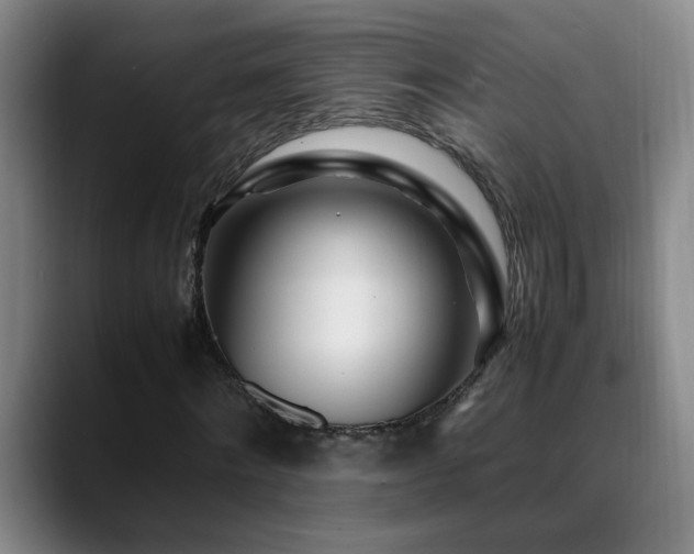 X0000089430868200706151307