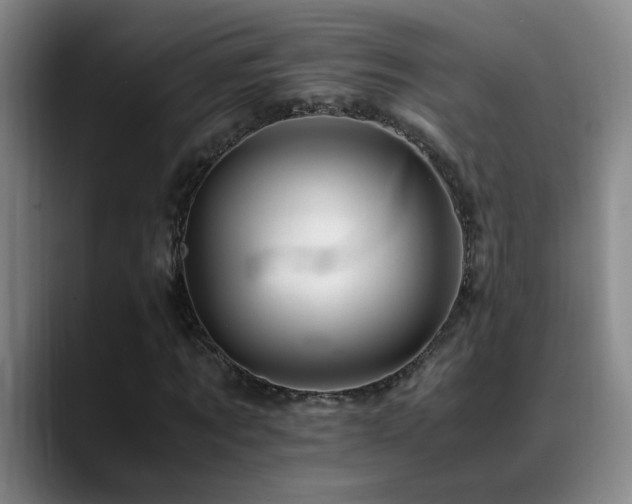 X0000089430869200706151307