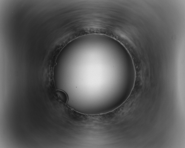 X0000089430870200706151307