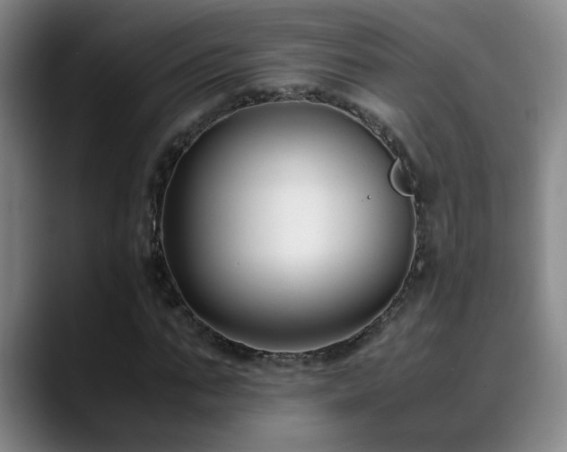 X0000089430871200706151307
