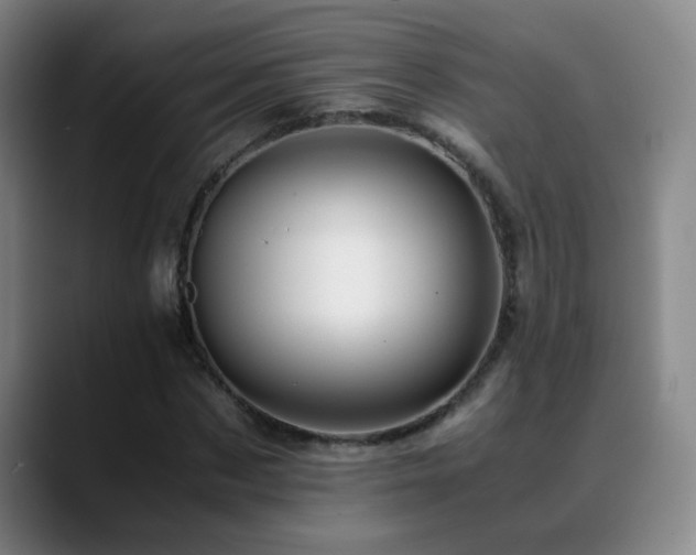 X0000089430873200706151307