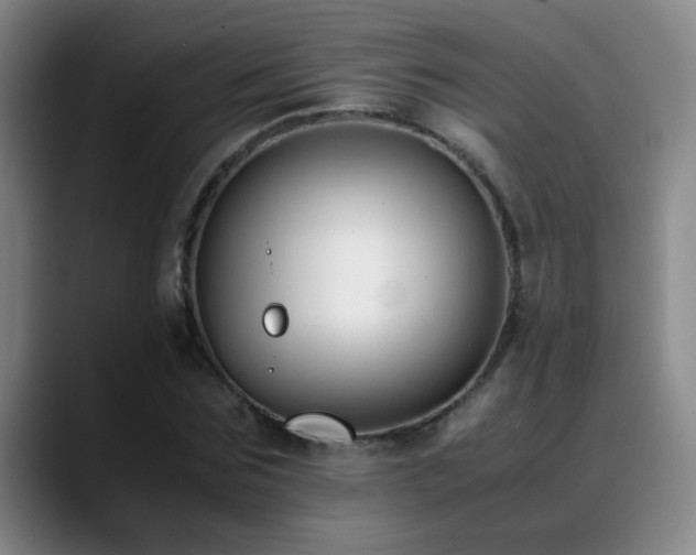X0000089430875200706151307