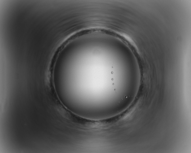 X0000089430879200706151307