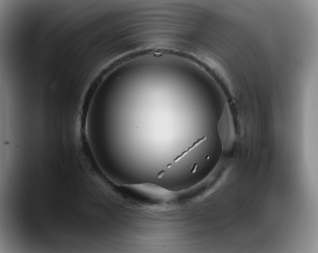 X0000089430880200706151307