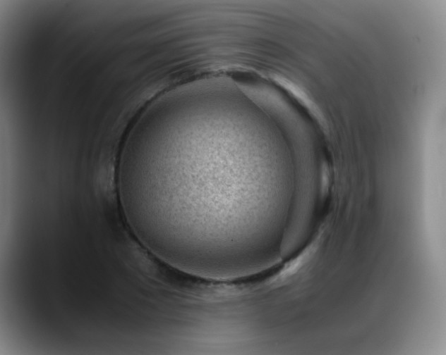 X0000089430881200706151307