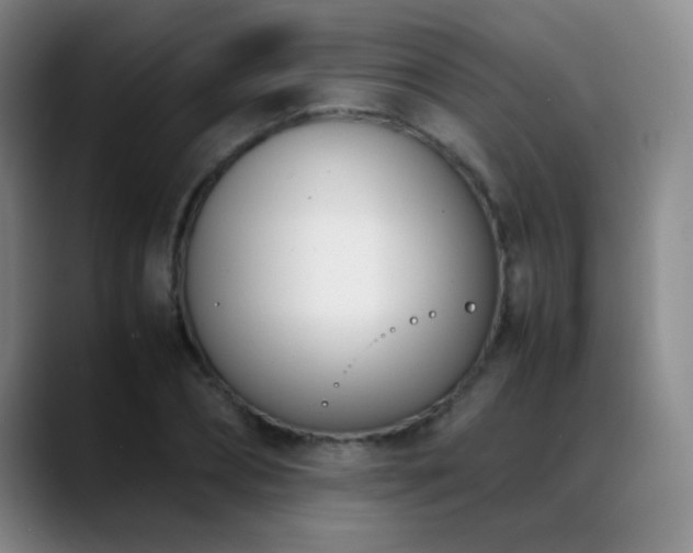 X0000089430882200706151307