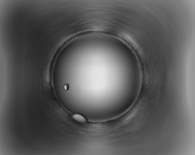 X0000089430883200706151307