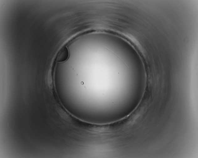 X0000089430887200706151307
