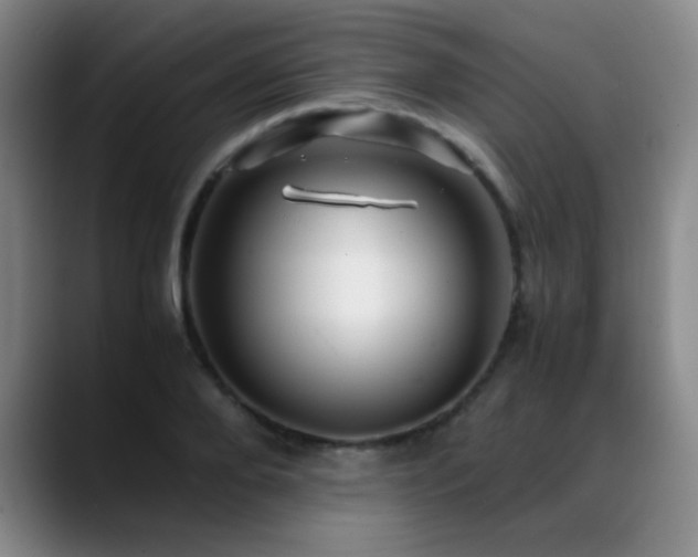 X0000089430888200706151307