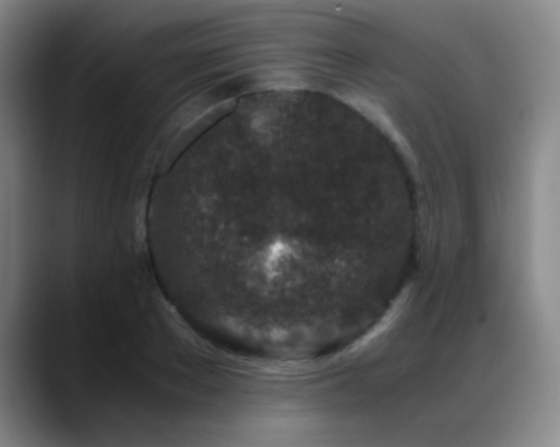 X0000089430889200706151307
