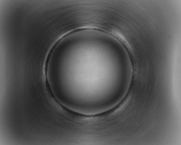 X0000089430892200706151307