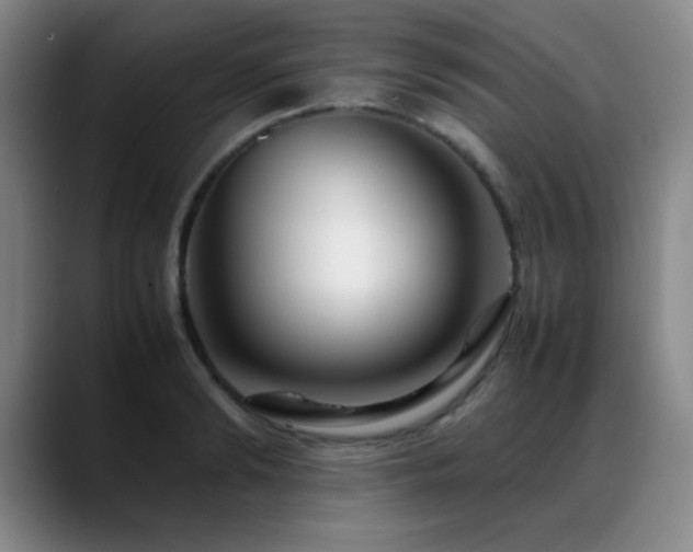 X0000089430894200706151307