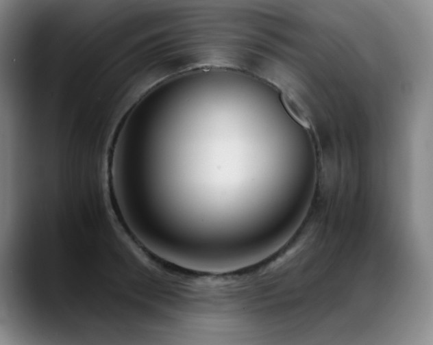X0000089430898200706151307