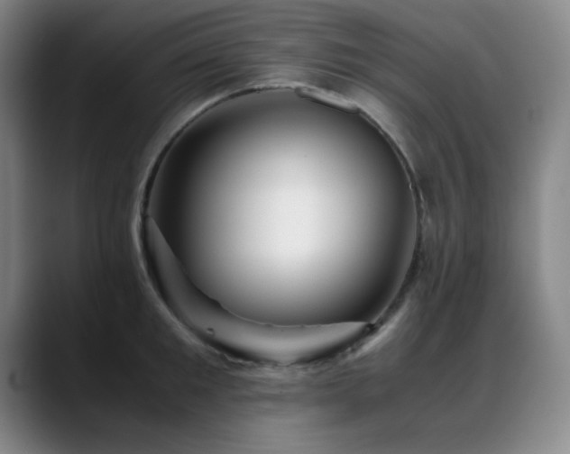 X0000089430901200706151307