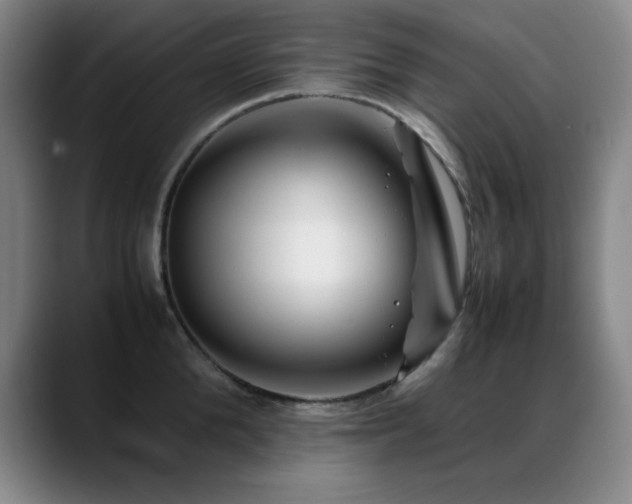 X0000089430904200706151306