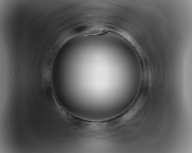 X0000089430905200706151306