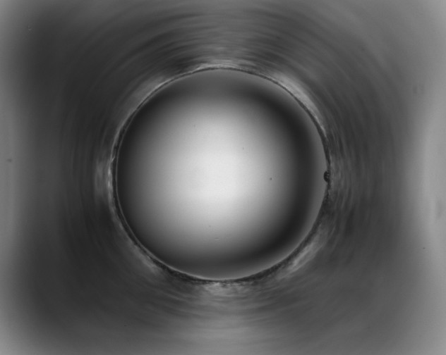 X0000089430906200706151306