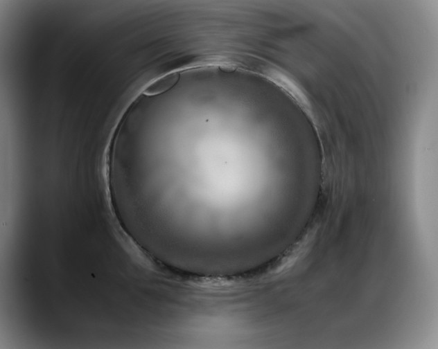 X0000089430907200706151306
