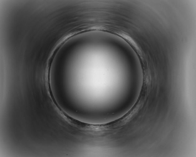 X0000089430910200706151306