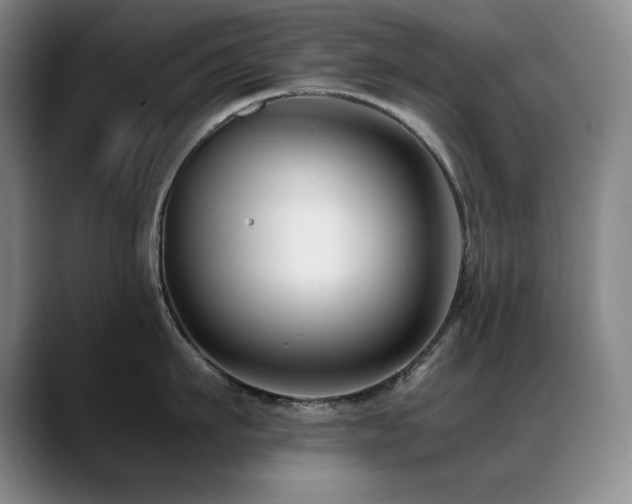 X0000089430911200706151306