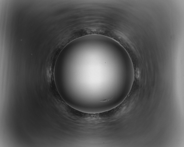 X0000089430915200706151306