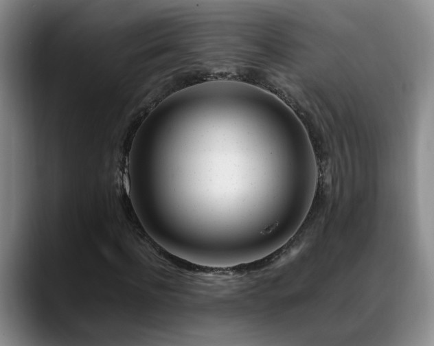 X0000089430916200706151306