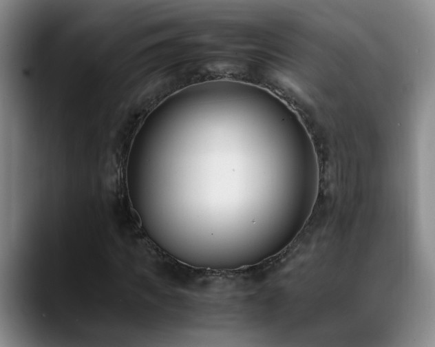X0000089430917200706151306
