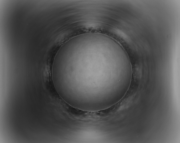 X0000089430918200706151306