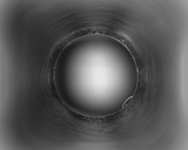 X0000089430919200706151306