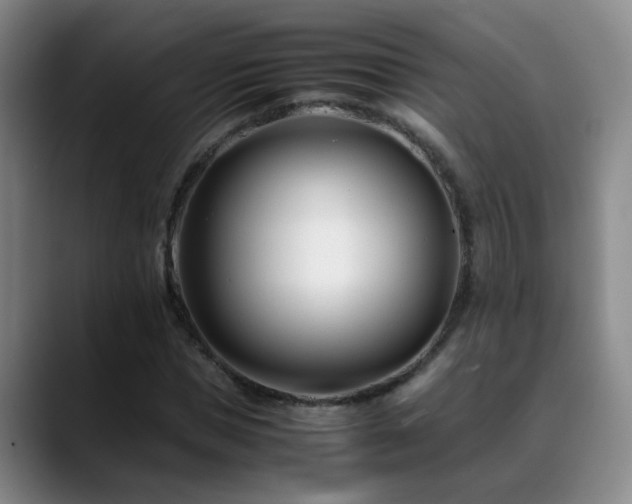 X0000089430921200706151306