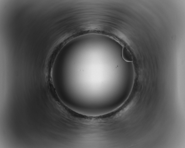 X0000089430922200706151306