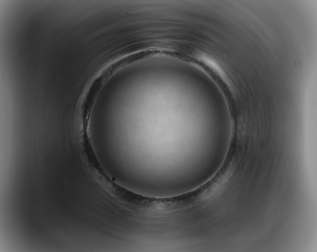 X0000089430923200706151306