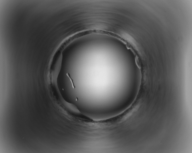 X0000089430924200706151306