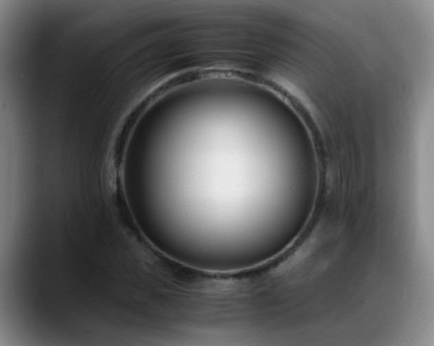 X0000089430925200706151306