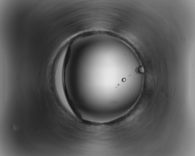 X0000089430926200706151306