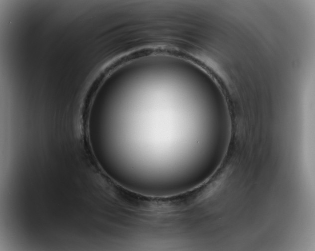 X0000089430927200706151306