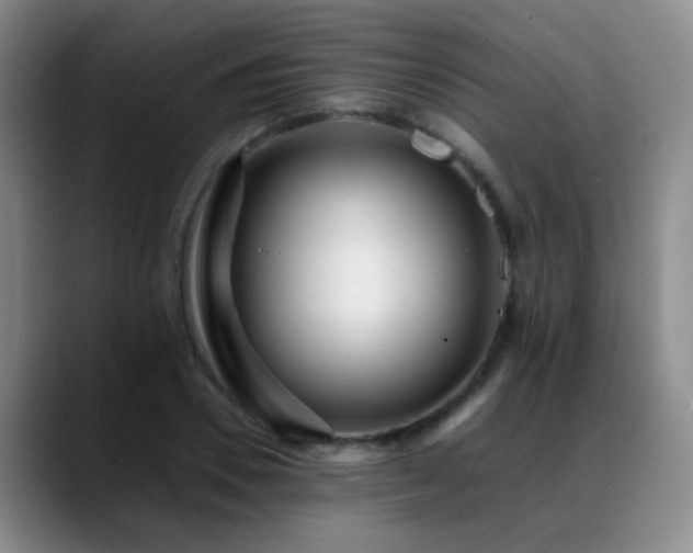 X0000089430930200706151306