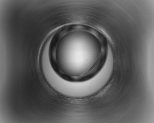 X0000089430932200706151306