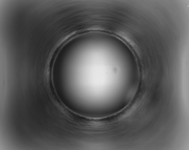 X0000089430933200706151306