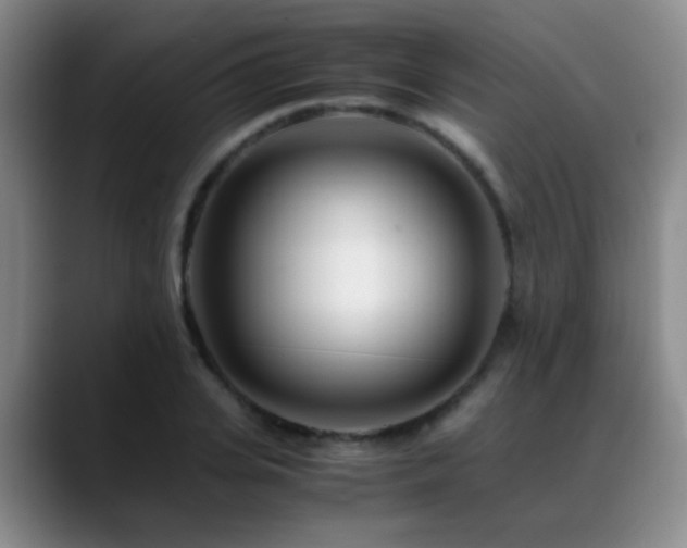 X0000089430935200706151306